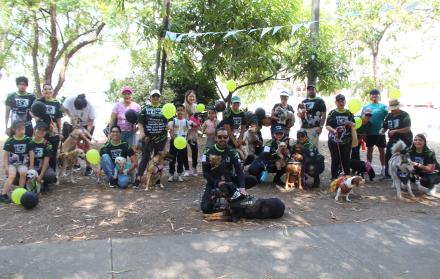 Perros en San Felipe
