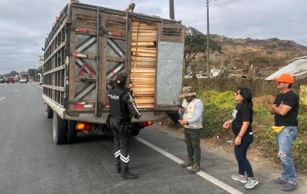 Operativo contra la madera