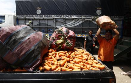transporte de alimentos