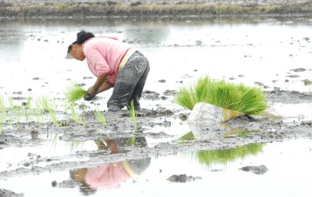 Agricultura