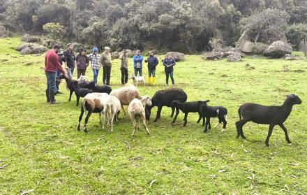 agricultura
