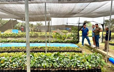 agricultura