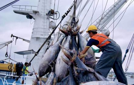 pesca industrial