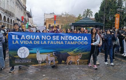 Marcha por el agua