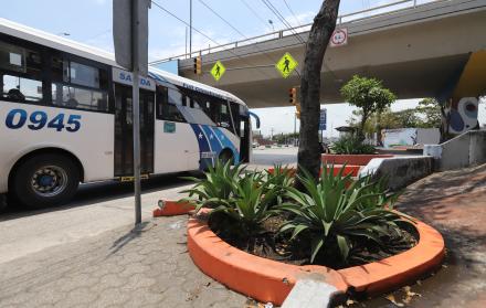 Jardinera sin reja en Guayaquil