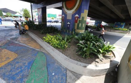 Jardineras sin rejas bajo el paso a desnivel en Francisco de Orellana y Carlos Plaza Dañín