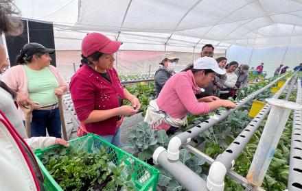 agricultores