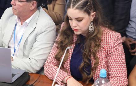 La asambleísta oficialista Nataly Morillo pide que el CAL sancione a la correísta Mónica Palacios, por los incidentes en la sesión donde se abordaba el proyecto minero en Quimsacocha.