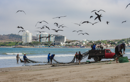 Playas