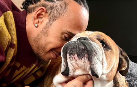 Neumonía en perros: lo que aprendimos de la experiencia de Lewis Hamilton con Roscoe