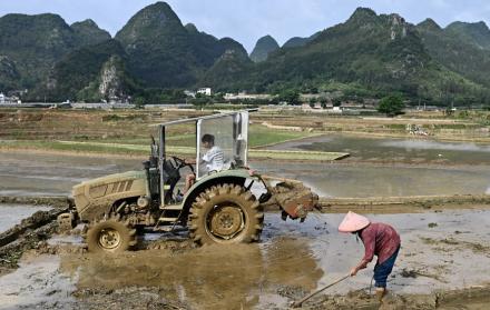Mundo, China, Condenan a muerte a exministro de Agricultura