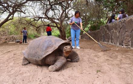 galapagos