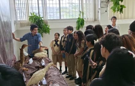Ciencias naturales museo