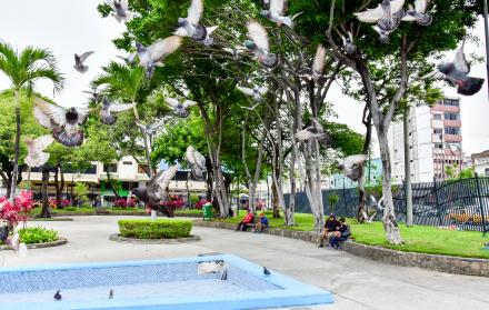 PARQUE LA VICTORIA GUAYAQUIL