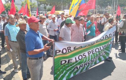 Productores de Daule, Salitre y Santa Lucía protestaron por bajos precios del arroz y la eliminación del subsidio al diésel