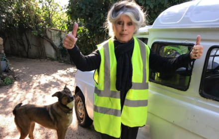 Brigitte Bardot, excantante, exactriz y activista francesa