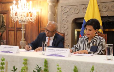 OEA y Cancillería