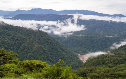 Conectividad Podocarpus Yacuri
