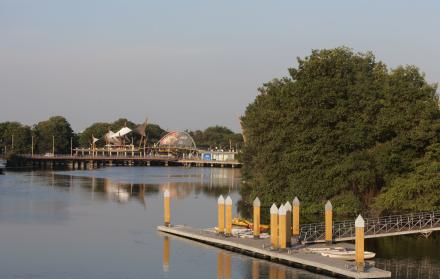 Ecosistema en el estero Salado