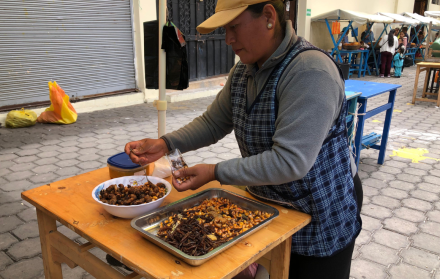 Comida San Buenaventura