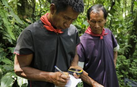 La Fundación Alianza Ceibo es una de las tres organizaciones que fueron convocadas a una audiencia para revisar el bloqueo de sus cuentas bancarias.