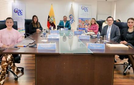 PLENO CPCCS ANDRES FANTONI