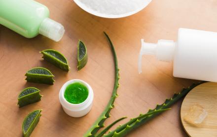 hojas-de-aloe-vera-con-un-tarro-de-crema-de-belleza