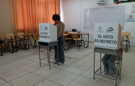 Consulta popular 2025 votantes