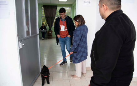 Varios ciudadanos llegaron a sus recintos electorales con sus mascotas.