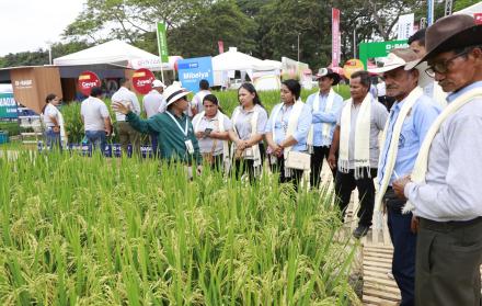 Capacitación. Expertos del congreso muestran a agricultores mejores técnicas de productividad.