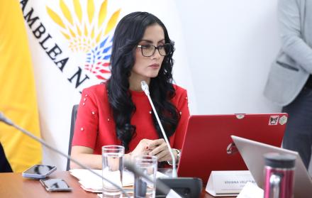 Viviana Veloz, presidenta de la Comisión