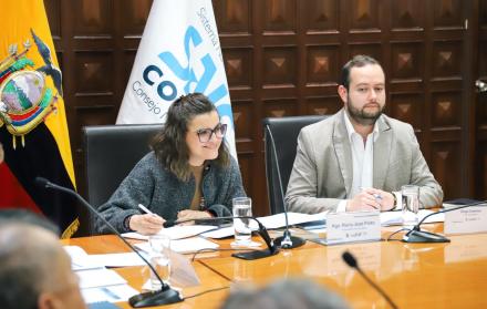 VICEPRESIDENTA PINTO PRESIDE CONASA