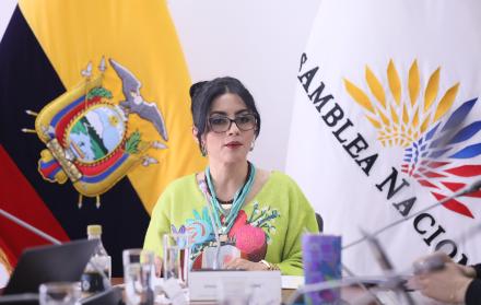 Viviana Veloz, presidenta de la Comisión