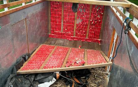 Policía decomisa artefactos explosivos