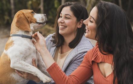 Cómo Extender la Vida de tu Perro: Prácticas Basadas en Estudios Científicos Actualizados