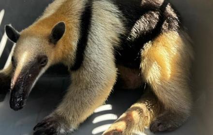 WhatsApp Image 2025-12-01 at 4.12.00 PM (1)