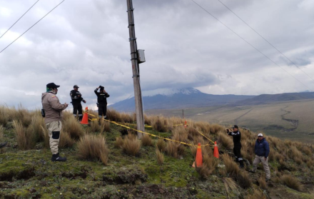 Cóndor juvenil fue hallado muerte en el parque Antisana.