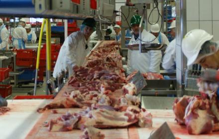 El Concejo Municipal de Guayaquil debatirá este 3 de diciembre la creación de Camalquil EP