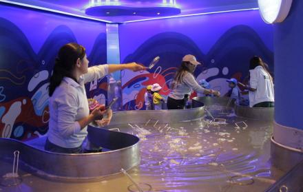 MUSEO DEL AGUA YAKU (14530020)