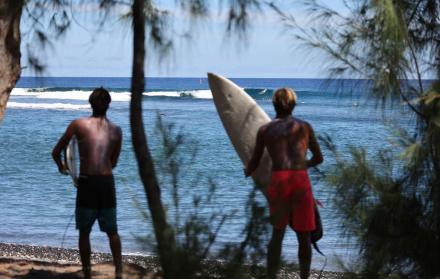 Mundo, Francia, Mundo animal, Surf