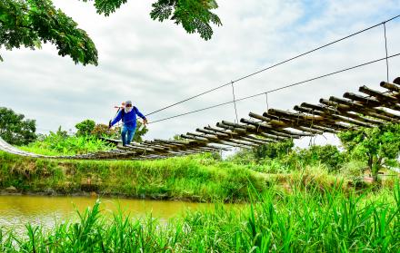 FRANCISCO FLORES  - 21102025 - ARROZ (20)