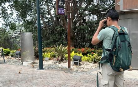 Avistamiento de aves