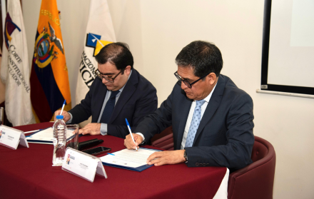 corte constitucional