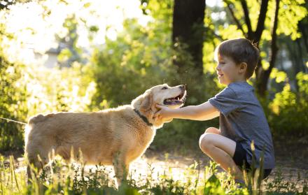 perro-de-caricias-de-nino-de-tiro-completo