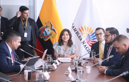 Inés Alarcón, presidenta de la Comisión de Seguridad