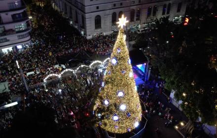 árbol gigante del Malecón 2000