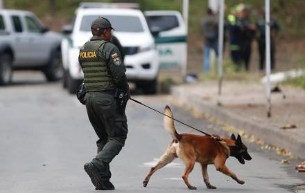 Policía inspecciona con un perro en Cali (Colombia)