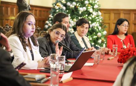 El COE Nacional sesionó para establecer las directrices de vigilancia y control frente a la presencia de la influenza estacional.