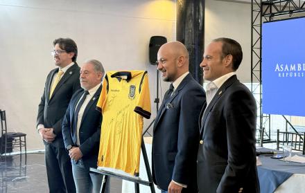 federación ecuatoriana de fútbol