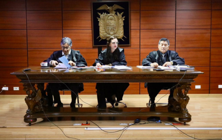 El tribunal, integrado entre otros por la jueza Daniella Camacho, no aceptó el recurso de apelación, dentro del Caso Plaga.